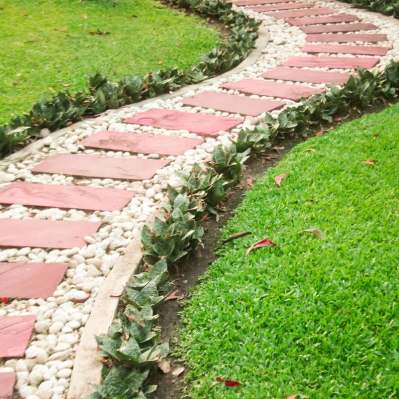 stone-walkway-in-garden-2026-03-19-09-29-38-utc
